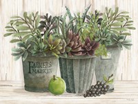 Farmer Market Succulent Harvest Fine Art Print