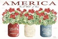 America Glass Jars Fine Art Print