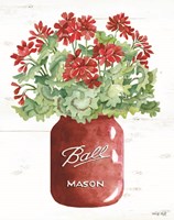 Patriotic Red Jar Fine Art Print