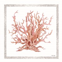 Pink Coastal Coral I Fine Art Print