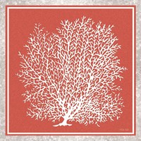 Coastal Coral on Red II Fine Art Print