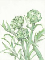 Artichokes Fine Art Print