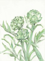 Artichokes Fine Art Print