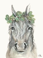 Eucalyptus Horse Fine Art Print