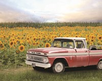 Truck with Sunflowers Fine Art Print