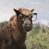 Let Your Horse Do the Thinking Fine Art Print