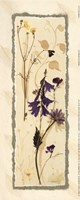 Dried Flowers IV by Carol Robinson - 4" x 10"