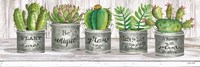 Galvanized Pot Succulents I Fine Art Print