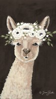 Llama Fine Art Print