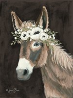 Donkey Fine Art Print