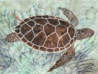 Sea Turtle Collage 1 Fine Art Print