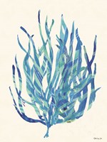 Coral Medley 1 Fine Art Print