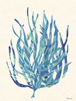 Coral Medley 1 Framed Print