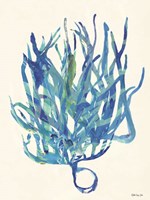 Coral Medley 2 Framed Print