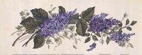 Purple Passion I by Richard Henson - 10" x 4"