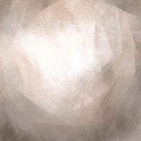 Blush Prism I Fine Art Print