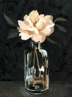 Dark Rose Arrangement I Fine Art Print