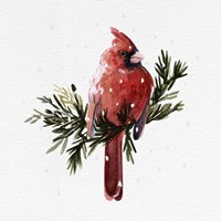 Cardinal with Snow I Fine Art Print