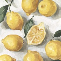 Fresh Lemons I Fine Art Print