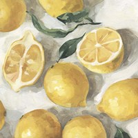Fresh Lemons II Fine Art Print