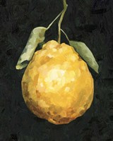 Dark Lemon II Fine Art Print