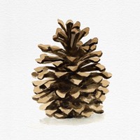 Conifer Cone I Fine Art Print