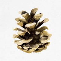 Conifer Cone II Fine Art Print