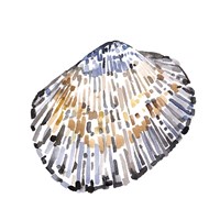 Simple Shells IV Framed Print