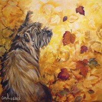 Playful Pup VIII Fine Art Print