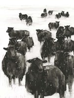 Winter Coat I Fine Art Print