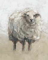 Fluffy Sheep II Framed Print