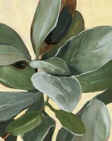 Plant Study I Fine Art Print