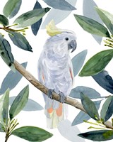 Cockatoo Perch I Fine Art Print
