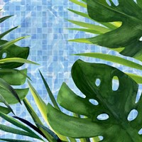 Poolside Shade II Fine Art Print