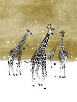 Spotted Giraffe II Fine Art Print