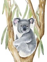 Woodland Koala I Fine Art Print
