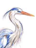 Heron's Glance I Fine Art Print