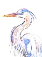 Heron's Glance II Fine Art Print
