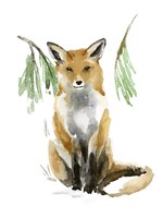 Snowy Fox I Fine Art Print