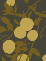 Golden Satsuma I Fine Art Print