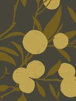 Golden Satsuma II Fine Art Print