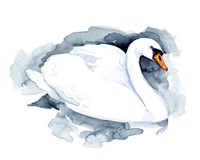 Silverlake Swan I Fine Art Print