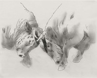 Dust Up II Fine Art Print