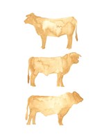 Hereford Trio I Fine Art Print