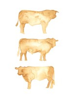 Hereford Trio II Fine Art Print