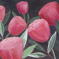 Blush Blossoms II Framed Print