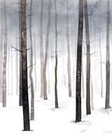 Hazy Winter Walk I Fine Art Print