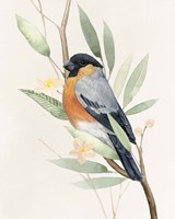 Tree Toppers I Framed Print