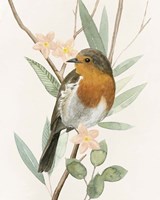 Tree Toppers IV Framed Print