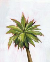 Palm Glow I Framed Print
